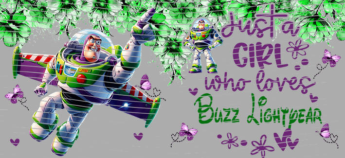 16oz Disney style-D-14